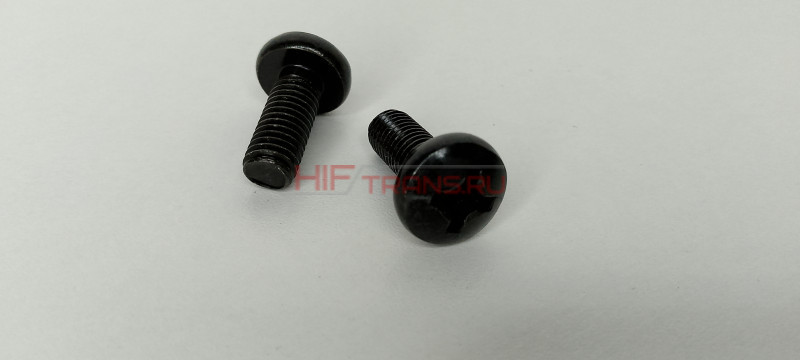 Винты с полукруглой головкой FOTON 4189 Q2140820F31