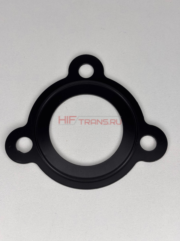 Прокладка коллектора системы охлаждения 1001703369