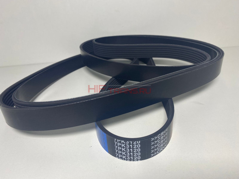Ремень поликлиновый 7PK3120 КАМАЗ Компас-5